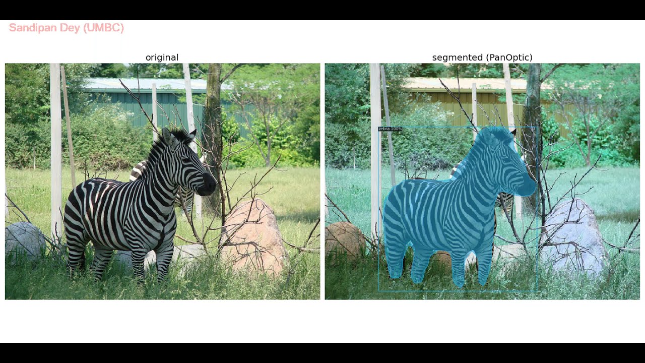 Panoptic Segmentation | MS COCO dataset | eep learning model | python