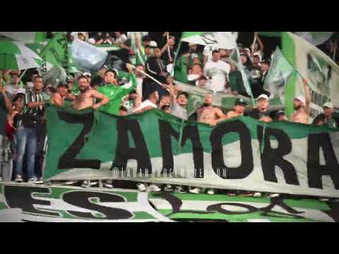 "" Barra: Los del Sur &bull; Club: Atlético Nacional &bull; País: Colombia