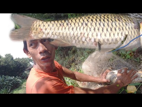 SE03EP168 Part 2 - AKALA ay PURO SABAW,  HINDI INAASAHAN na PURO MAMAW PALA ang LAMAN - Catch n Sell