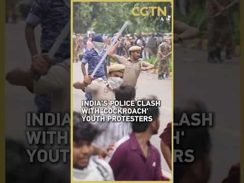 Why thousands of 'cockroach' protesters took to the streets in India