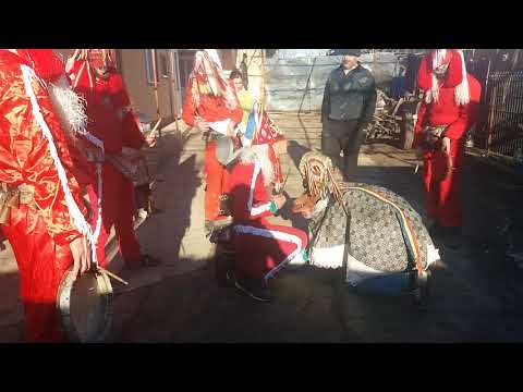 Cerbul de la Podişu.