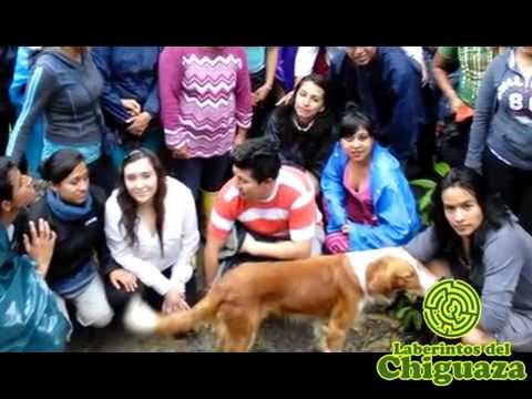 Video 23