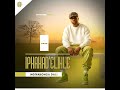 Iphakadelihle Gede Indaba Yomjolo Official Audio Ft Shenge Wasehlalankosi