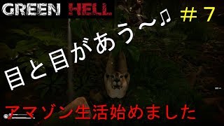 【実況】アマゾン生活始めました＃7【GREEN HELL】
