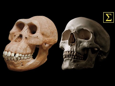 The Evolutionary Human Diet | Doug Lisle, Ph.D.