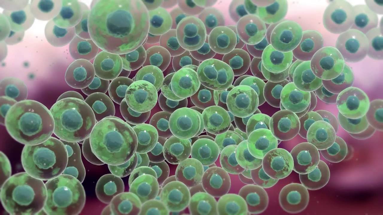 Precision Genomics Explained in 3D