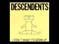 Ace-Descendents (Subtitulado)