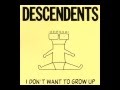 Ace-Descendents (Subtitulado) 