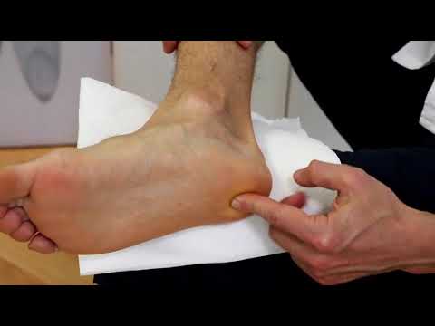 Curs reflexoterapie, modulul 6 - tratament şi autotratament pentru afecţiunile sistemului genital