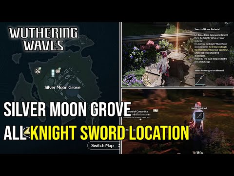 Silver Moon Grove ALL Knight SWORD Location - Wuthering Waves 2.0