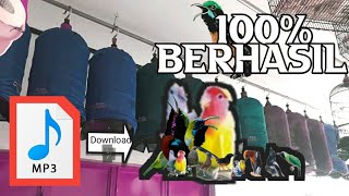 Download lagu CARA DOWNLOAD MP3 / SUARA BURUNG MASTERAN mp3