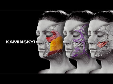 The truth about facial anatomy: SMAS, muscles, ligaments, and nerves. ⭕️ KAMINSKYI