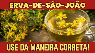 THE POWER OF ST. JOHN'S WORT TEA FOR CHRONIC PAIN RELIEF!