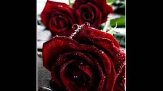 Combichrist~Sent To Destroy  LYRICS