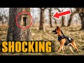 The Ex-POLICE Dog Rushed To This OLD Tree. The HORRIFIC Find Will SHOCK You!
