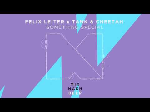 Felix Leiter x Tank & Cheetah - Something Special (Out Now!)