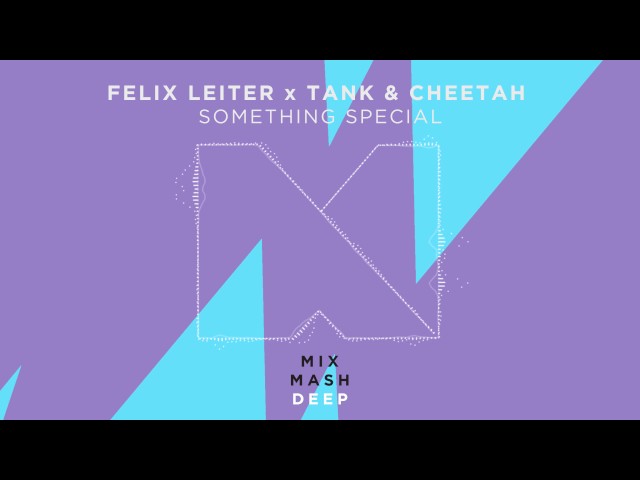 Felix Leiter X Tank & Cheetah - Something Special (Original Mix)