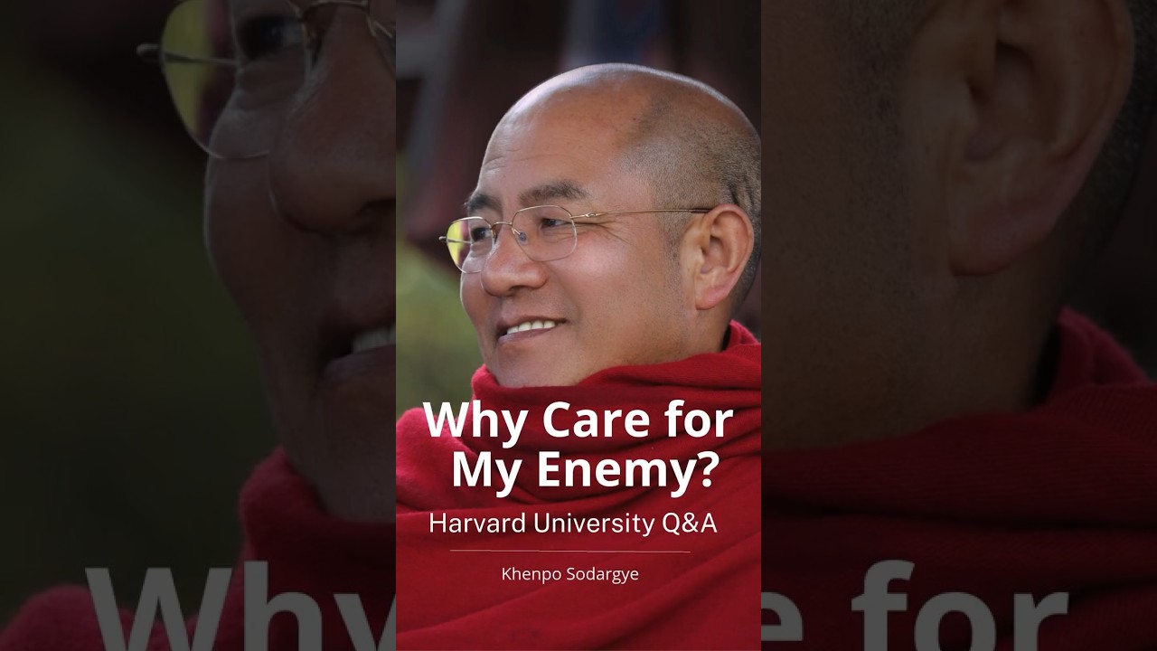 Your Enemy Is Not Free — That Changes Everything （Khenpo Sodargye）
