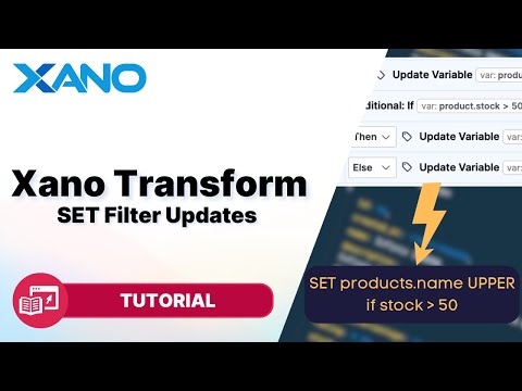 Xano Transform: SET Filter