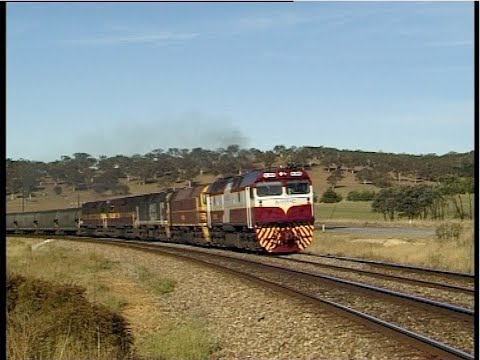 Australian diesel locomotives HL203, FL220, 42211, L254 & L265 - ATN grain train - April 2002