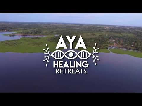 Maneesh de Moor remix Maestra Juanita Ayahuasca Icaro - Drone video