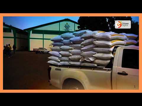 Uhaba wa mbolea wazua hofu kwa wakulima wa mahindi nchini