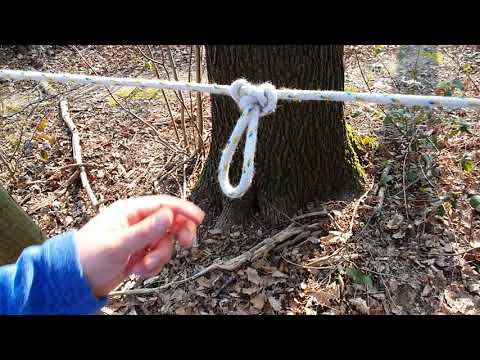 Schmetterlingsknoten