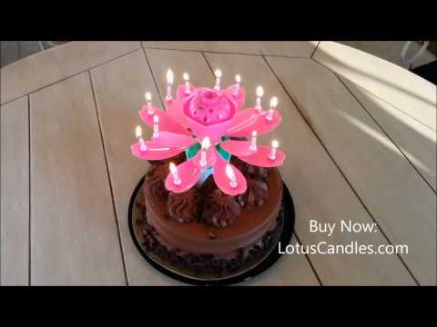 Pink Lotus Candle on Chocolate Cake!