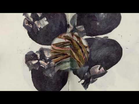 @ionbogdanstefanescu  Violeta Dinescu - Kata