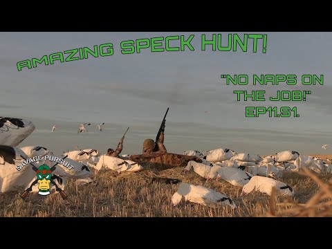 Another spectacular goose hunt! Ep11. "No naps on the job!"