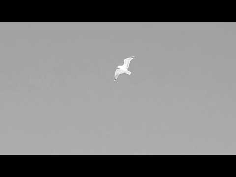 Nanette Scriba - The cold song  (before Klaus Nomi)