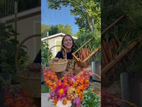 Preserving My Garden Harvest! Freeze Dried Carrots!  #homegrownfood #backyardgardening