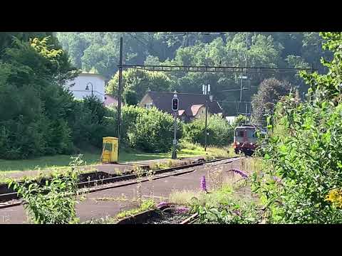 Swiss Express Re 4/4“ 11109 mit Zug 28537 Nach Zürich VB