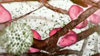 Love and Life (Global Drum Project's Heartspace)