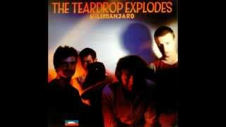 The Teardrop Explodes - Brave Boys Keep Their Promises