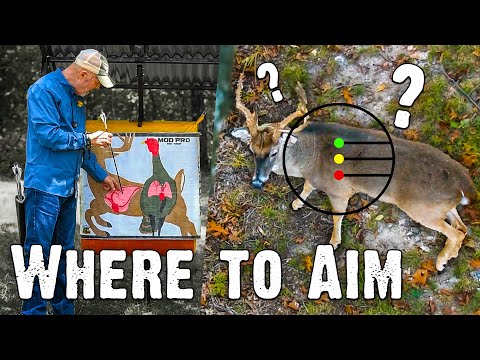 Where to Aim: Best Shot Placement on Deer (834)