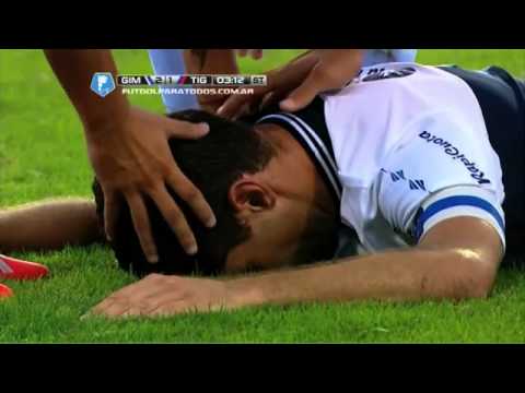 Dura caída de Licht Gimnasia 2 Tigre 1 Fecha 11 Torneo Final 2014
