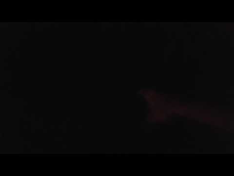 350 gram ground salute