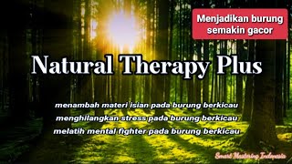 Download lagu Smart Mastering Natural Therapy Plus... mp3