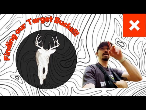 Zoning in on Our Target Buck!! - Scouting Deep Bottoms - Public Land Kentucky
