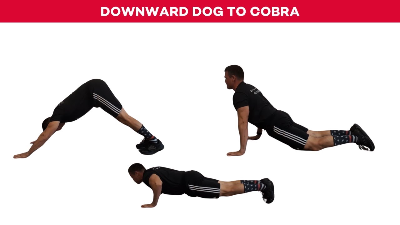 Downward Dog to Cobra