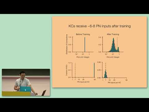 CCN 2019: GS-1.2: Evolving the Olfactory System