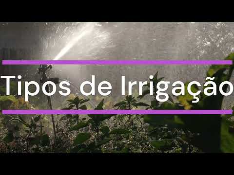 O que é irrigação e quais são os seus tipos ?