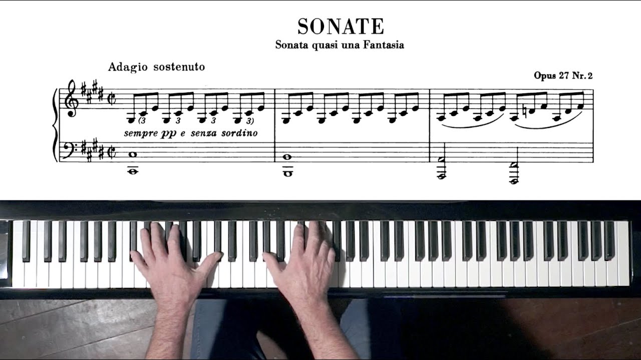 Beethoven “Moonlight Sonata” 1st mov. Paul Barton, FEURICH piano