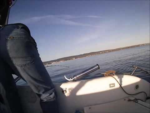 Traina con il vivo, strike in diretta