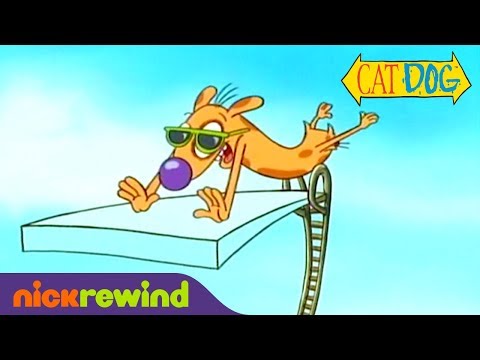 Dog Breaks a Handful of Pool Rules | CatDog | Nicktoons