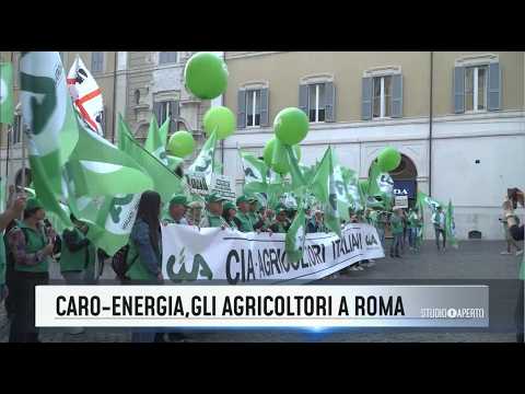STUDIO APERTO - Caro energia e prezzi alle stelle: la protesta degli agricoltori Cia a Roma