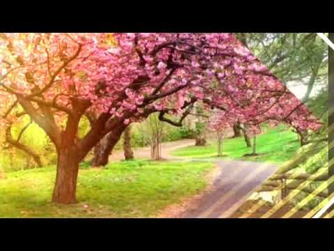 Omie Joshi Hindi Voice Sample