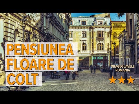 Pensiunea Floare de Colt hotel review | Hotels in Dragoslavele | Romanian Hotels