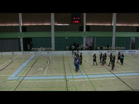 Säbä F2 TFT Sininen - Pirkat